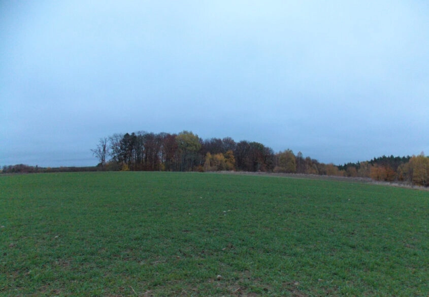 Działka pod lasem 15km od Gdańska.