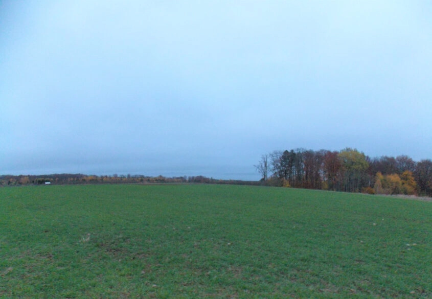 Działka pod lasem 15km od Gdańska.