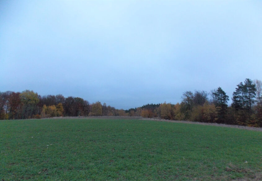 Działka pod lasem 15km od Gdańska.
