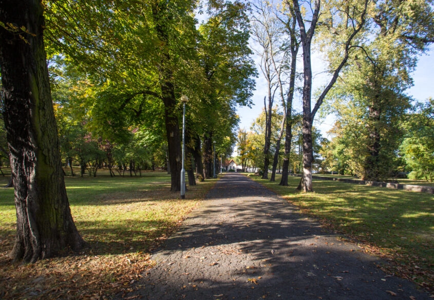 Działka w atrakcyjne lokalizacji Gdańsk-Wrzeszcz