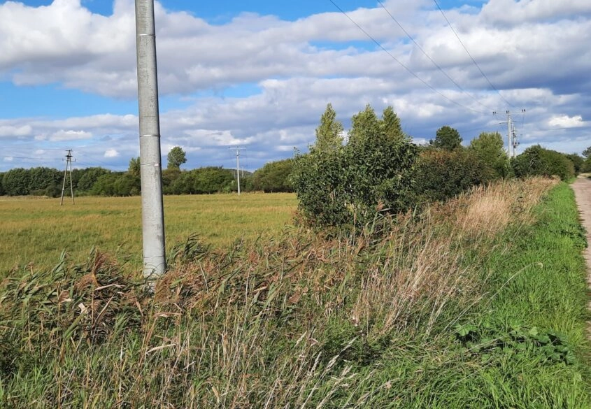 Działki rolne Reda ul. Kazimierska
