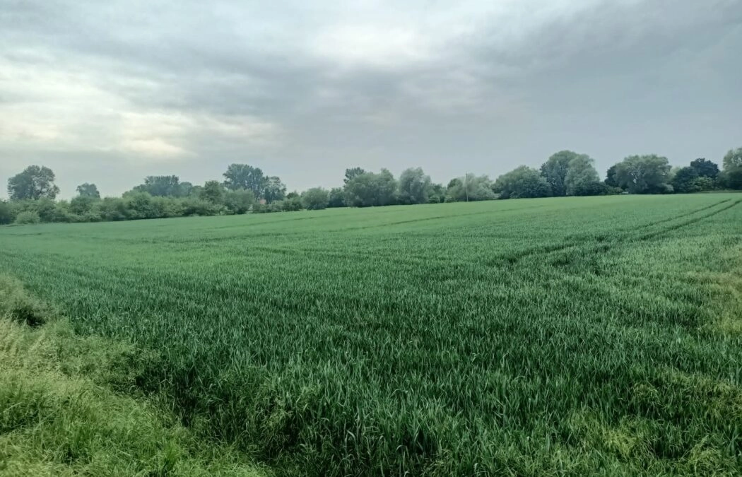 DZIAŁKA NA SPRZEDAŻ! PIĘKNA OKOLICA !