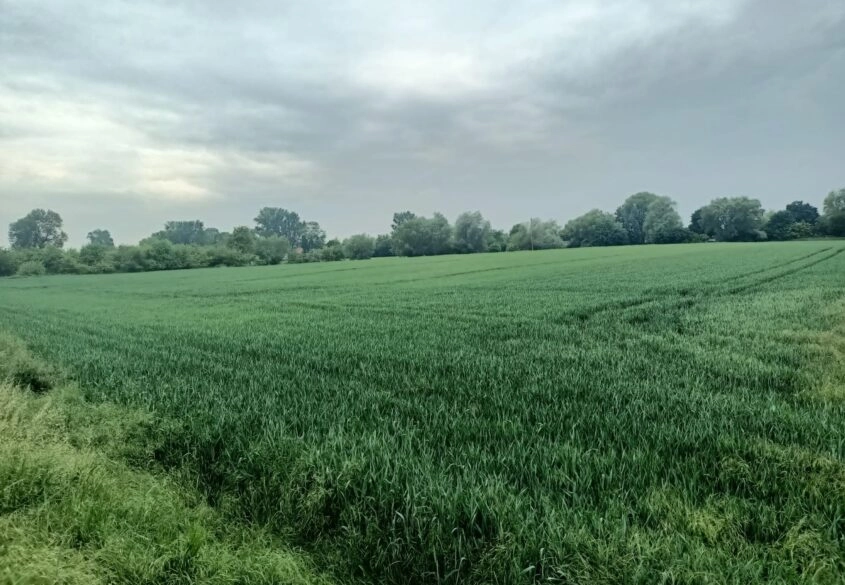 DZIAŁKA NA SPRZEDAŻ! PIĘKNA OKOLICA !