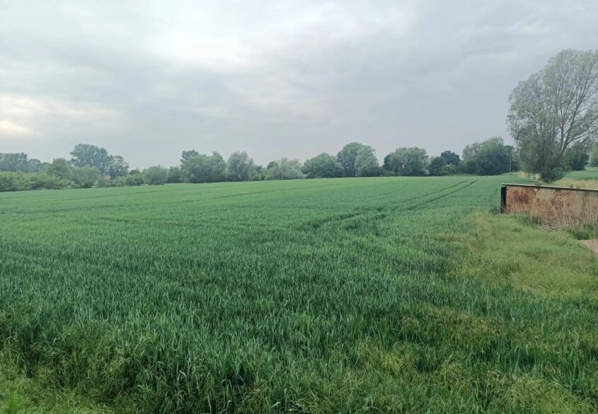 DZIAŁKA NA SPRZEDAŻ! PIĘKNA OKOLICA !