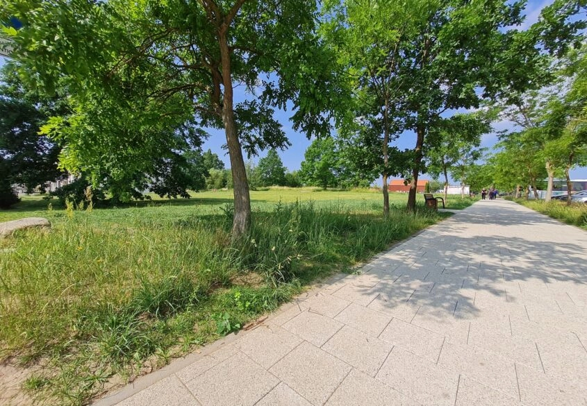 Pruszcz/ wielorodzinna/ USŁUGI MEDYCZNE/  okolica