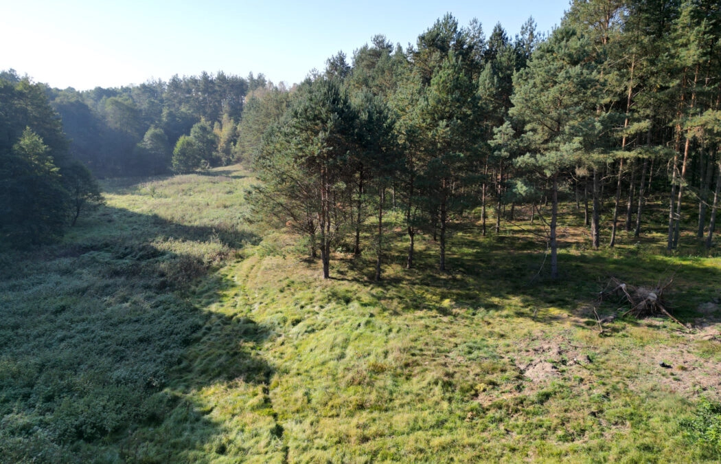 Działki Nad rzeką Gotelp/ Pustki/ Chojnicki