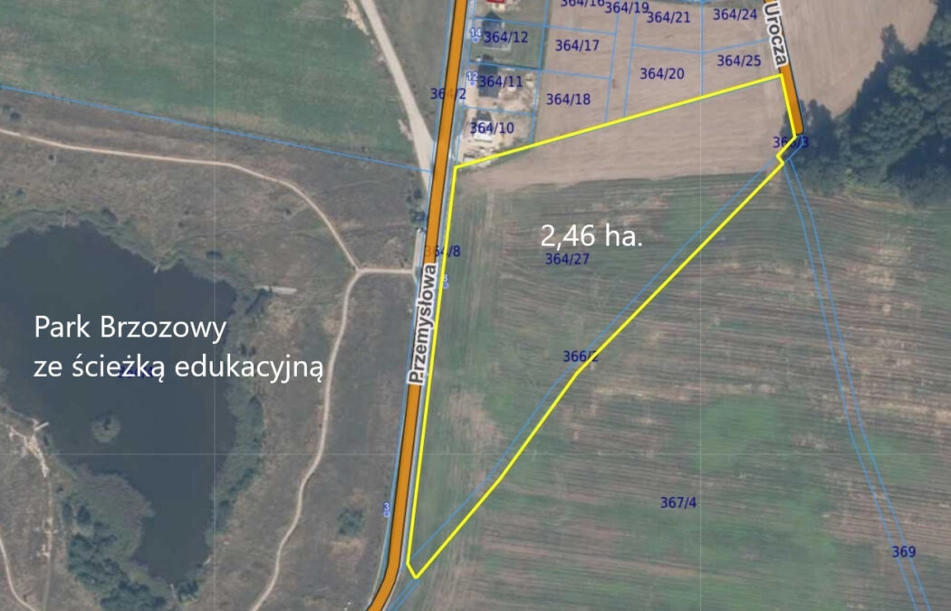 Działka w Skowarczu - prawie 2,5 hektara.