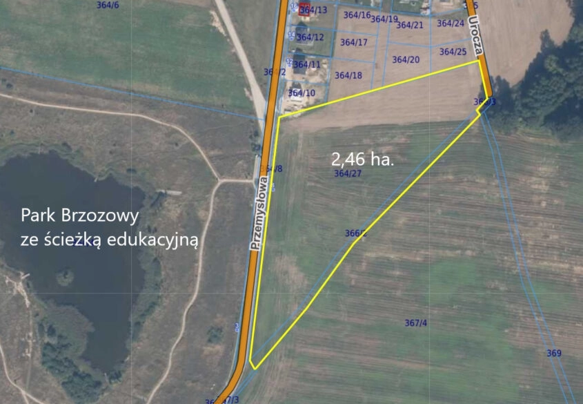 Działka w Skowarczu - prawie 2,5 hektara.
