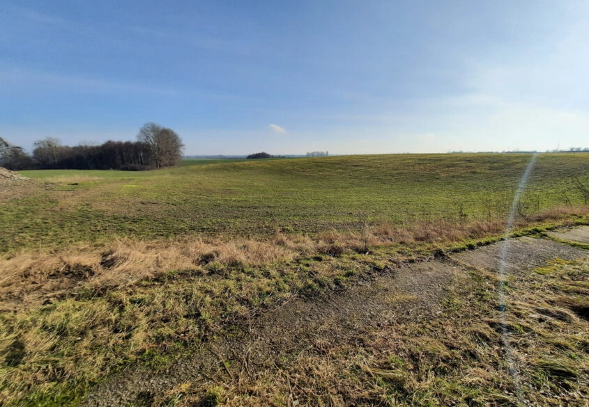 Działka w Skowarczu - prawie 2,5 hektara.