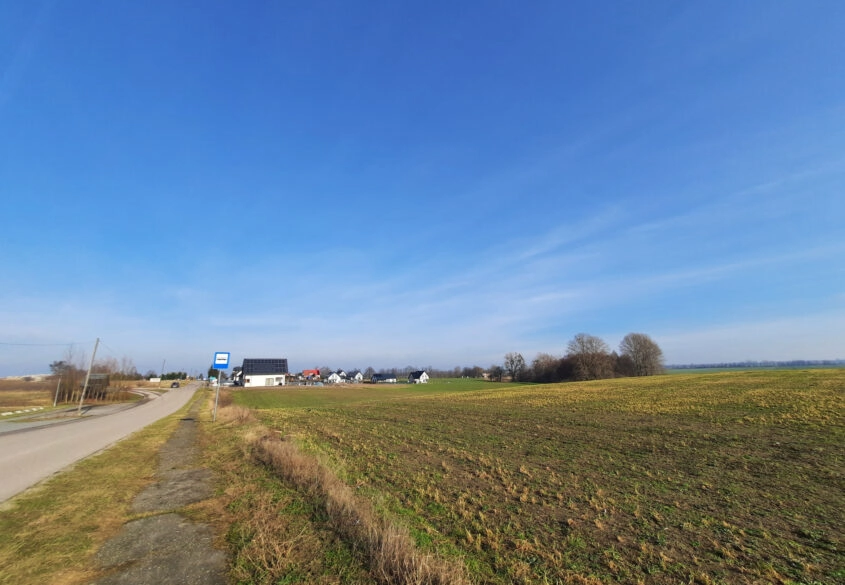 Działka w Skowarczu - prawie 2,5 hektara.