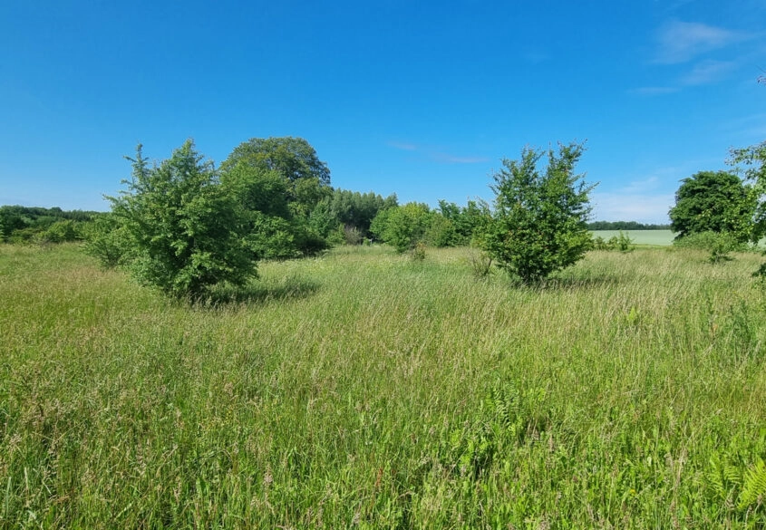 Działka nad jeziorem Salińskim