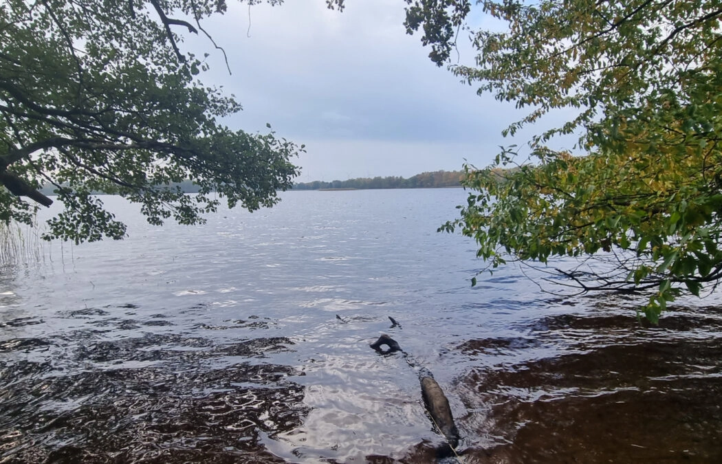 Działka nad jeziorem Salińskim