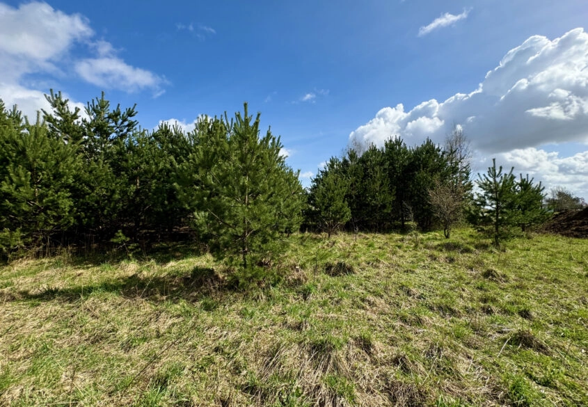 Ładna działka na Kaszubach 1082 m2!!!