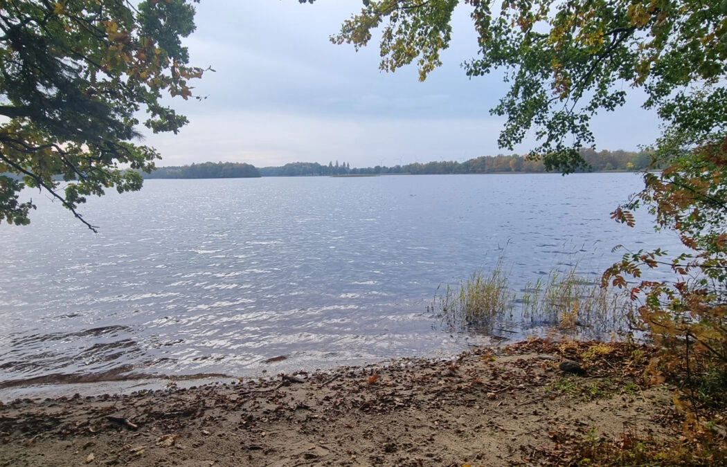 Działka nad jeziorem Salińskim