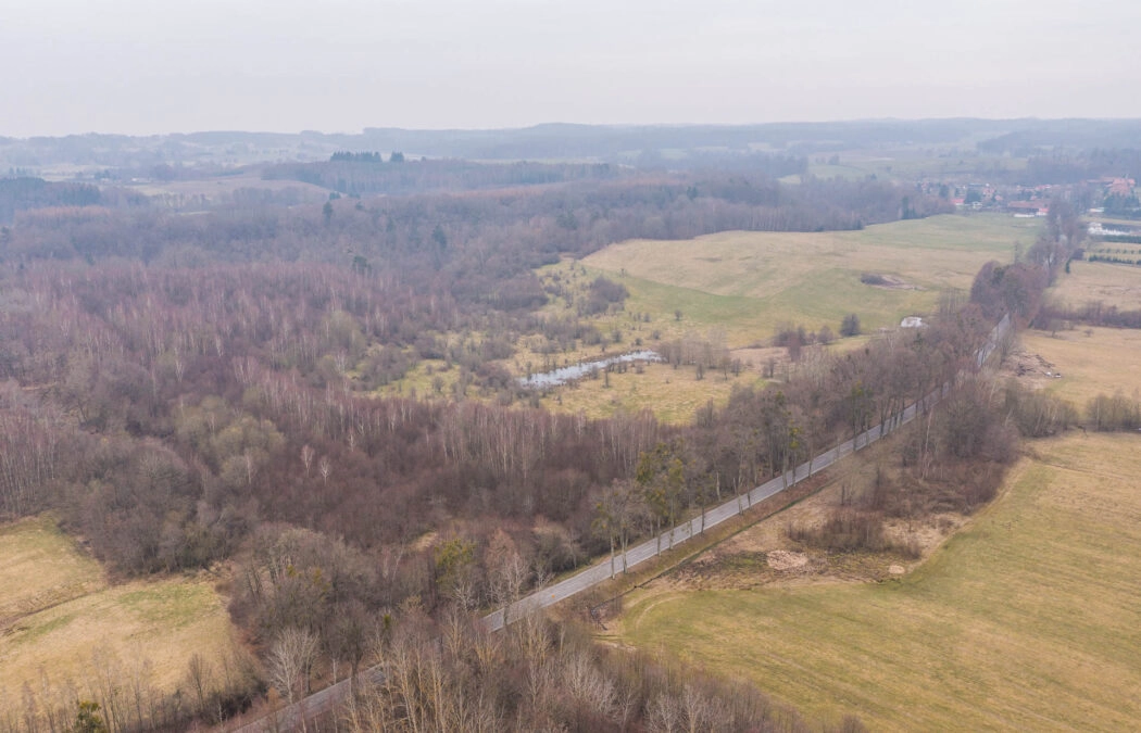 Piekna działka z potencjałem w Zastawnie
