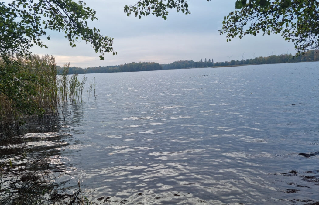Działka nad jeziora Salinko z dostępem do jeziora