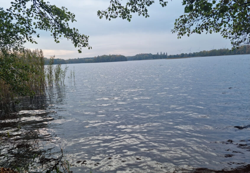 Działka nad jeziora Salinko z dostępem do jeziora