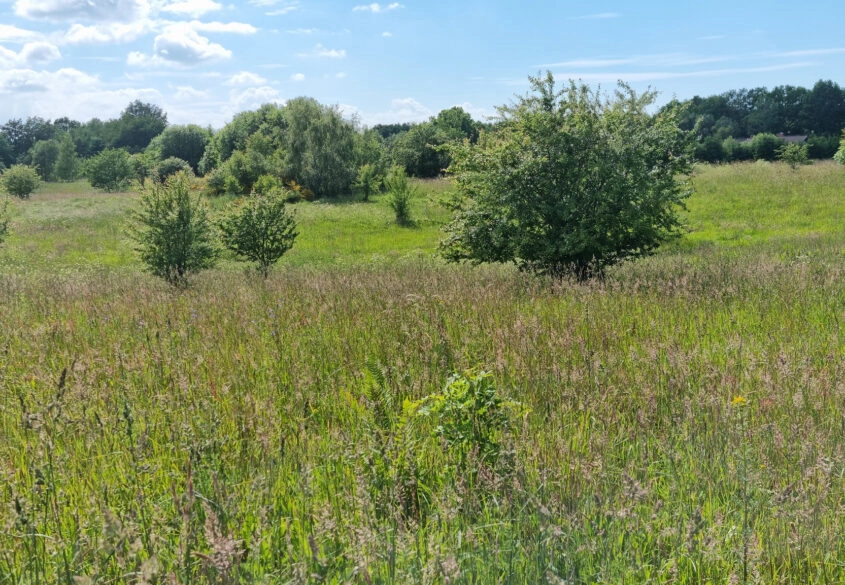 SALINKO - DZIAŁKA NAD JEZIOREM