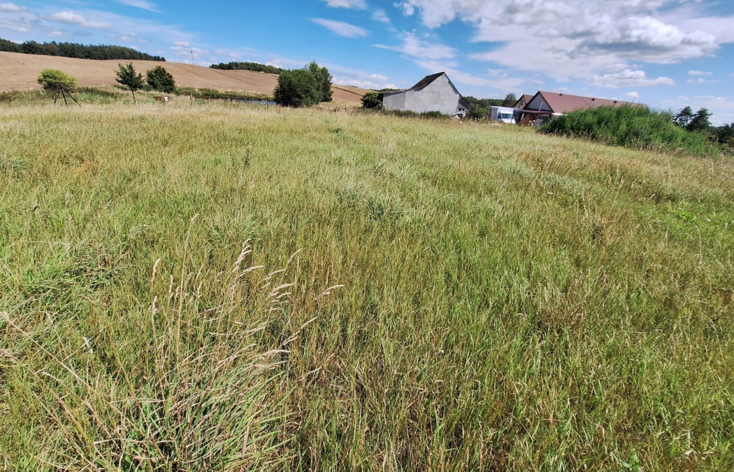 Działka z MPZP -   zab. zagrodowa  LUBAŃ