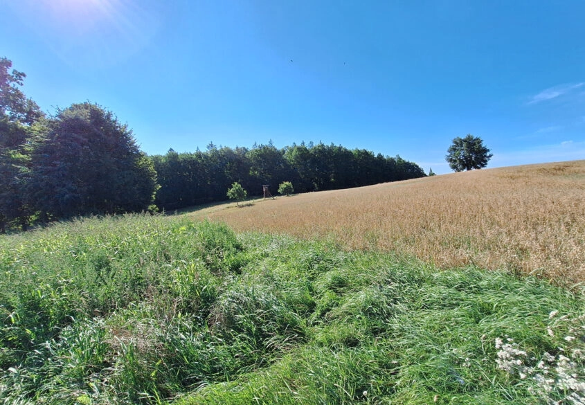 Działki  BUDOWLANE na Kaszubach KCZEWO/Przodkowo