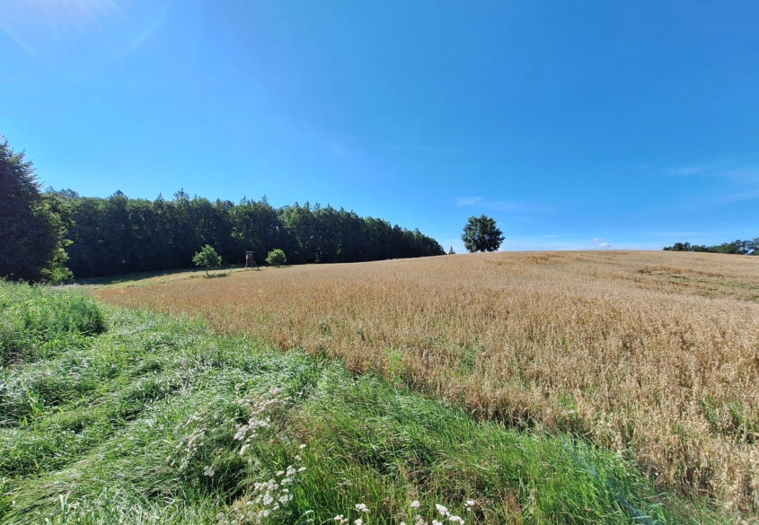Działki  BUDOWLANE na Kaszubach KCZEWO/Przodkowo