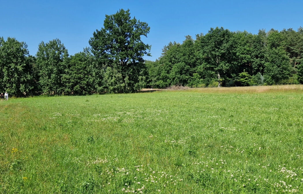 Działka Inwestycyjna