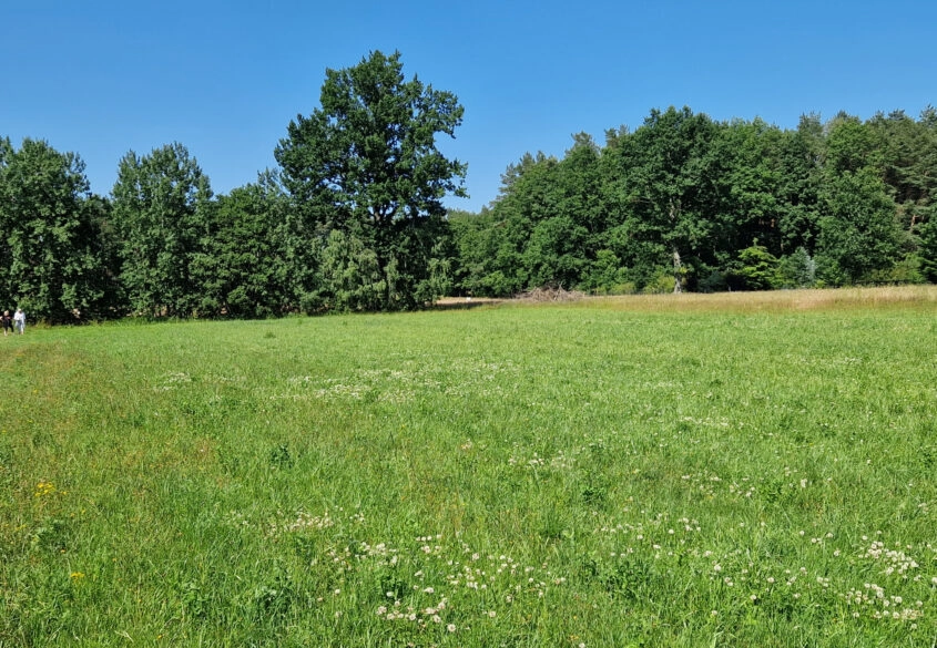 Działka Inwestycyjna