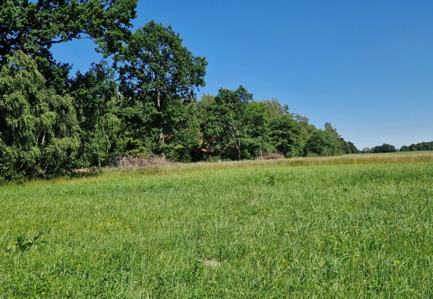Działka Inwestycyjna