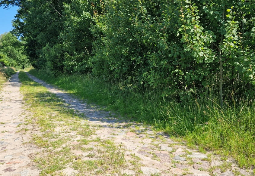 Działka Inwestycyjna