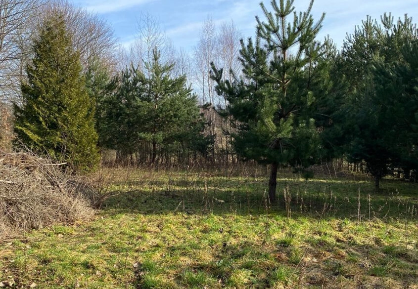 Ogrodzona działka w Perlinie, 800m do jeziora