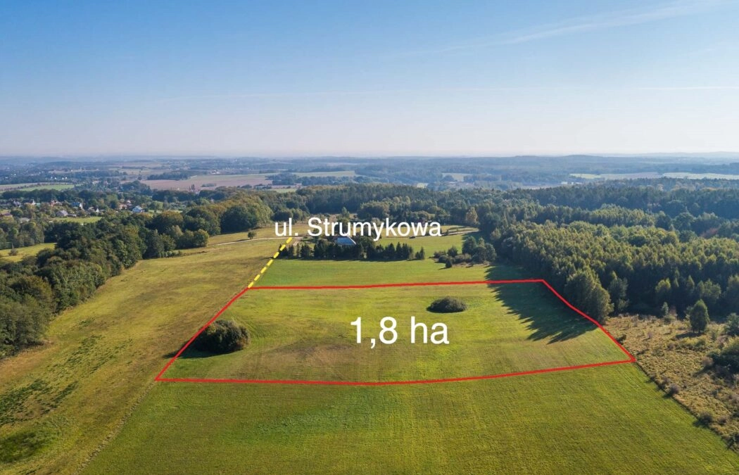 Działka rolna - Buszkowy Górne 1,8Ha