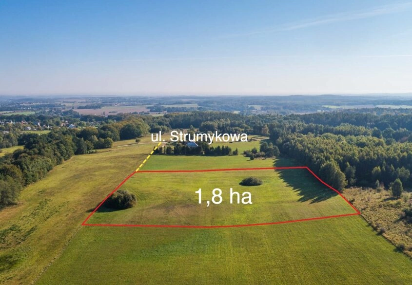Działka rolna - Buszkowy Górne 1,8Ha