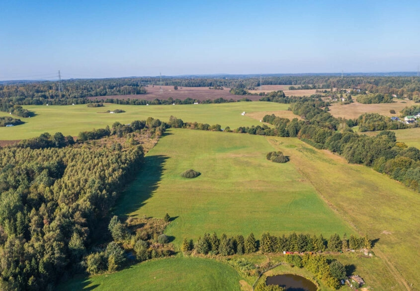 Działka rolna - Buszkowy Górne 1,8Ha