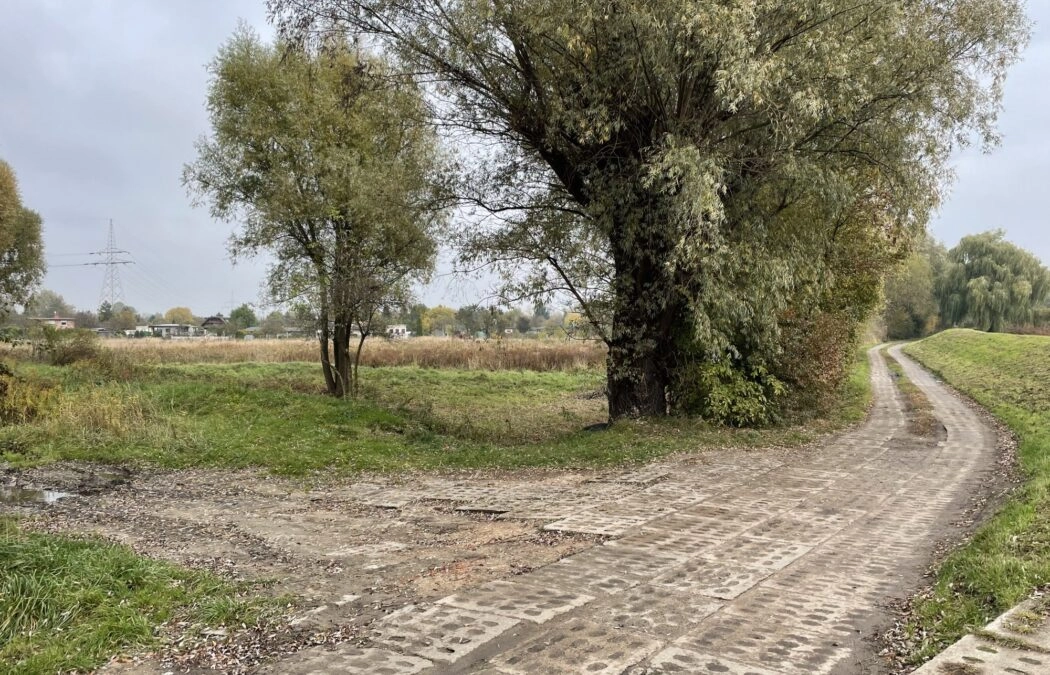 Działka tuż przy Motławie