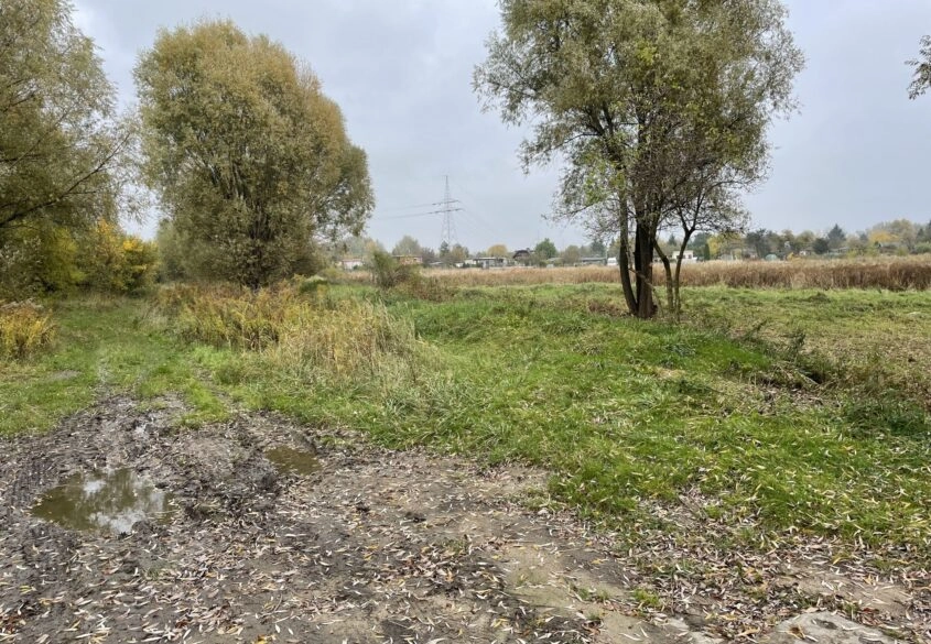 Działka tuż przy Motławie