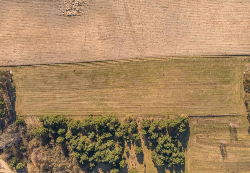 Pod 9 domów lub Pensjonat! 600m od Jeziora!