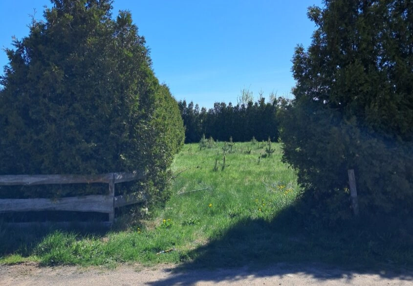 Idealna/ Śliczna działka w otulinie Drzew