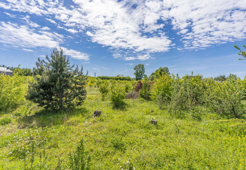 Pnb | 6 Bliźniaków |6970m2| Co Najmniej 1697m2 Pum