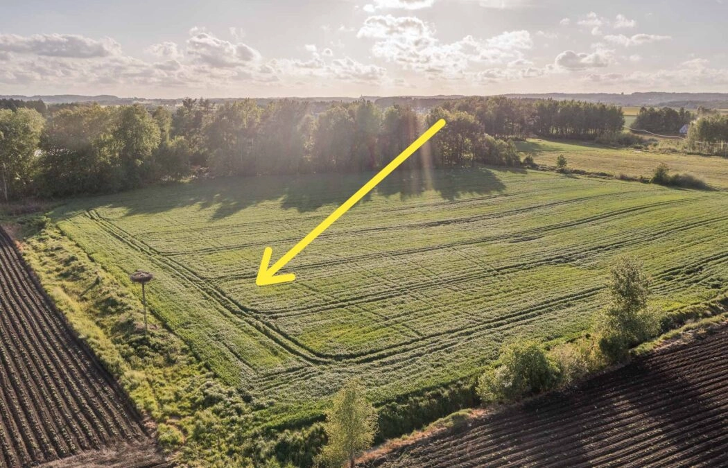 Budowlana | Prostokątna | Płaska | 1 263m2