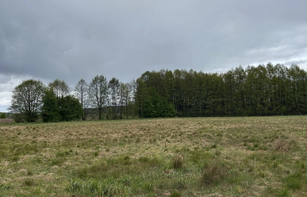 Działka budowlana Bory Tucholskie