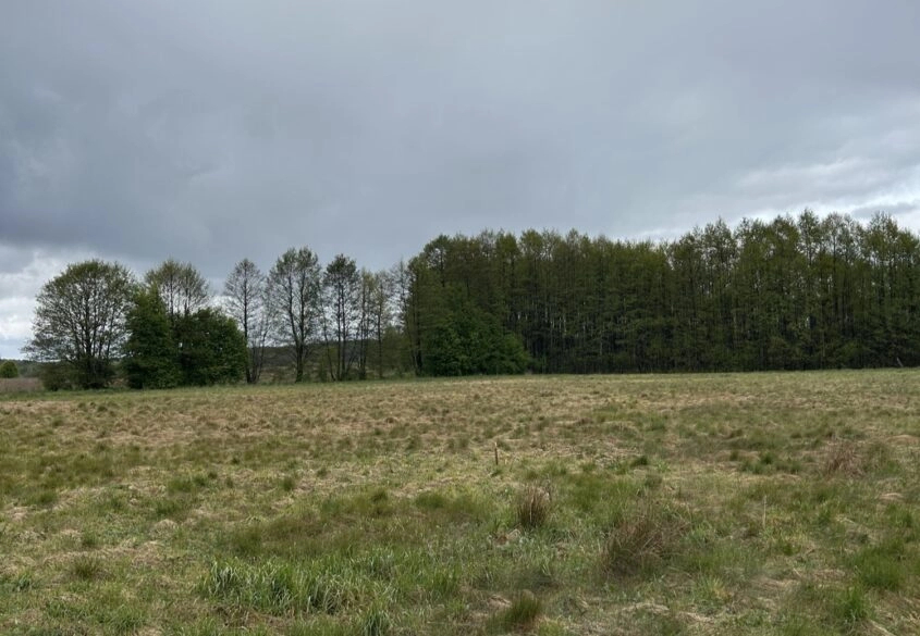 Działka budowlana Bory Tucholskie