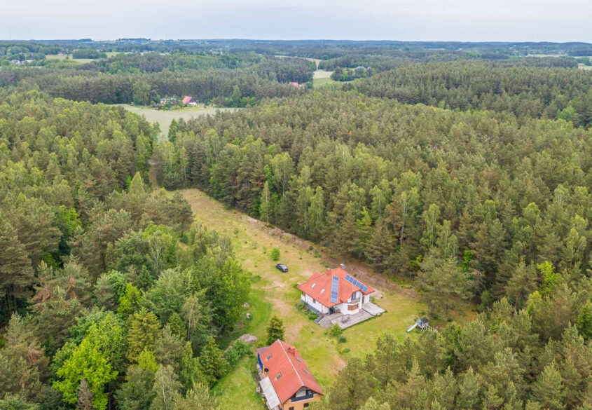 2 domy na 2 hektarach wśrodku lasu!