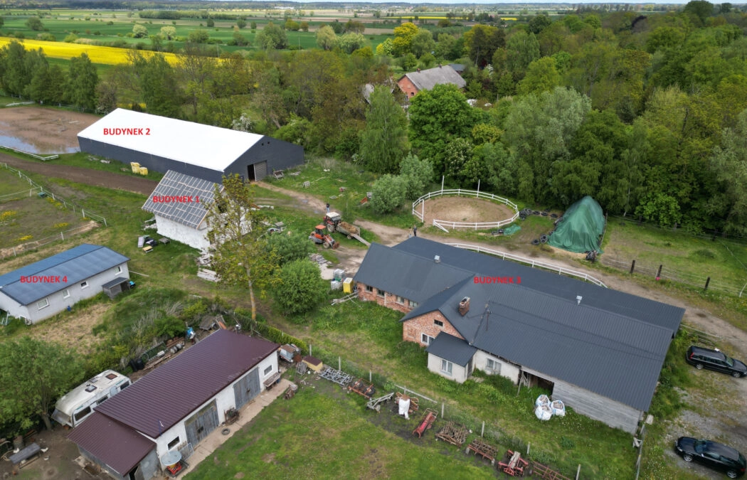 Przemysław/ STADNINA KONI/ stajnia/ siedlisko