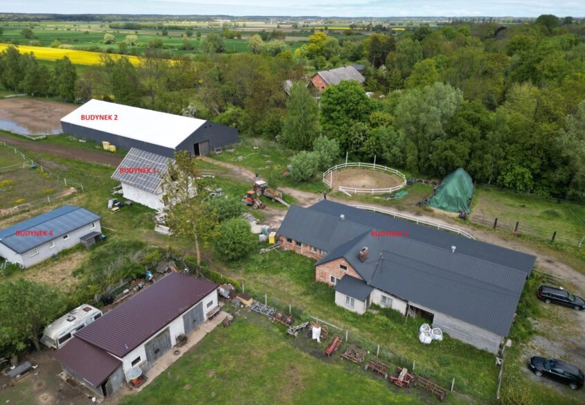 Przemysław/ STADNINA KONI/ stajnia/ siedlisko