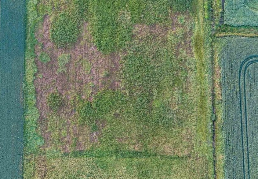 Południowa | Brak sąsiadów | Mpzp | Prostokątna
