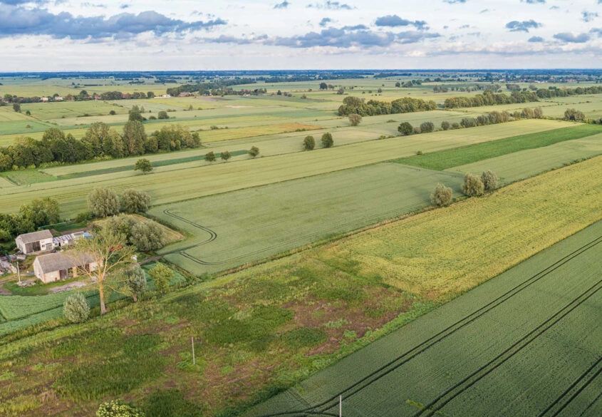Południowa | Brak sąsiadów | Mpzp | Prostokątna