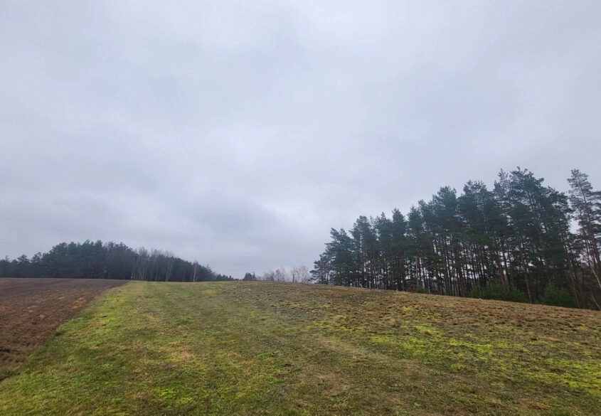 Duża działka, wydane WZ na 5 domów jednorodzinnych