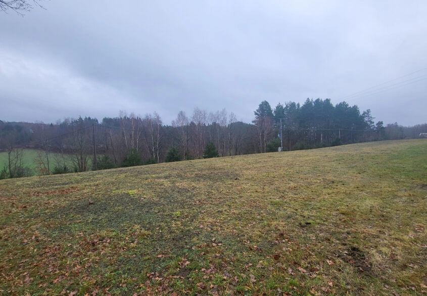 Duża działka, wydane WZ na 5 domów jednorodzinnych