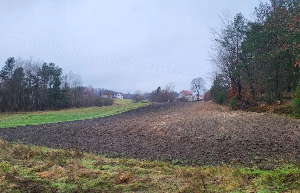 Duża działka ok. 1,2 ha, wydane WZ na 10 domów