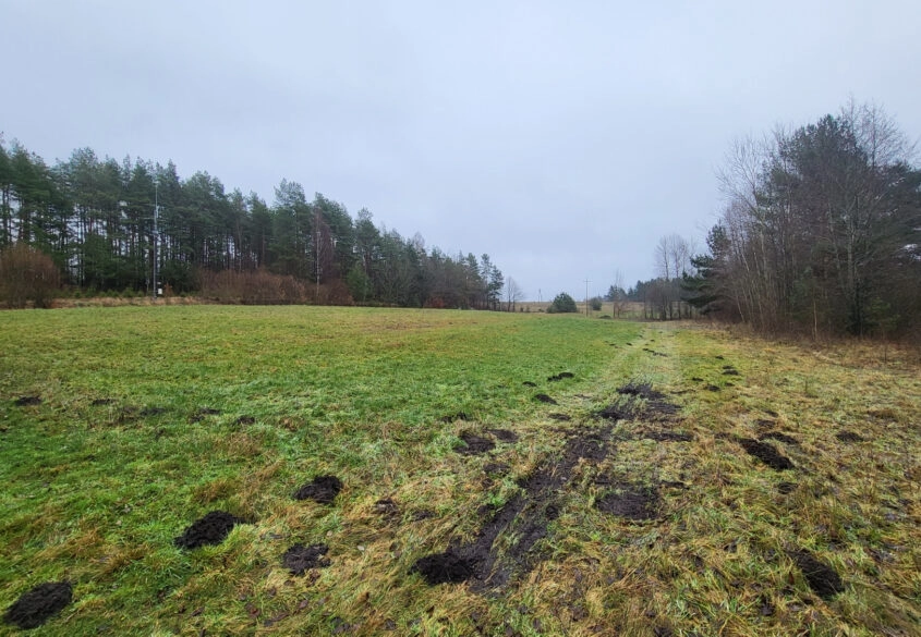 Duża działka ok. 1,2 ha, wydane WZ na 10 domów